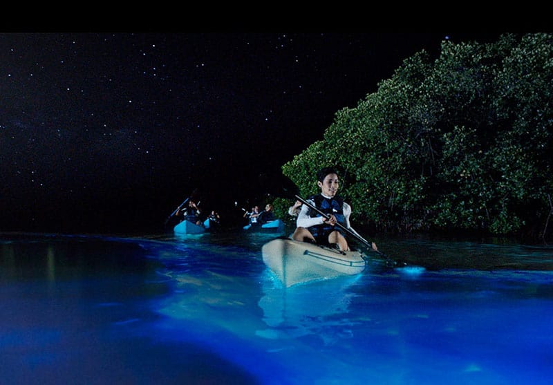 Bioluminescent Bay, Grand Cayman