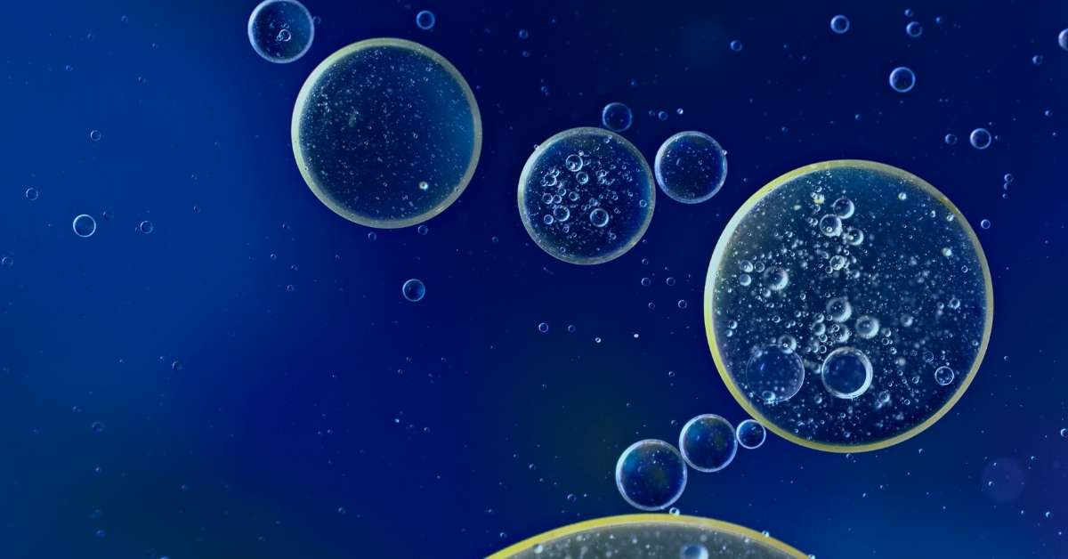 Stem Cell Clinics: Regulations, Protocols, and Cell Products
